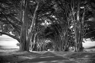 Point Reyes-9814